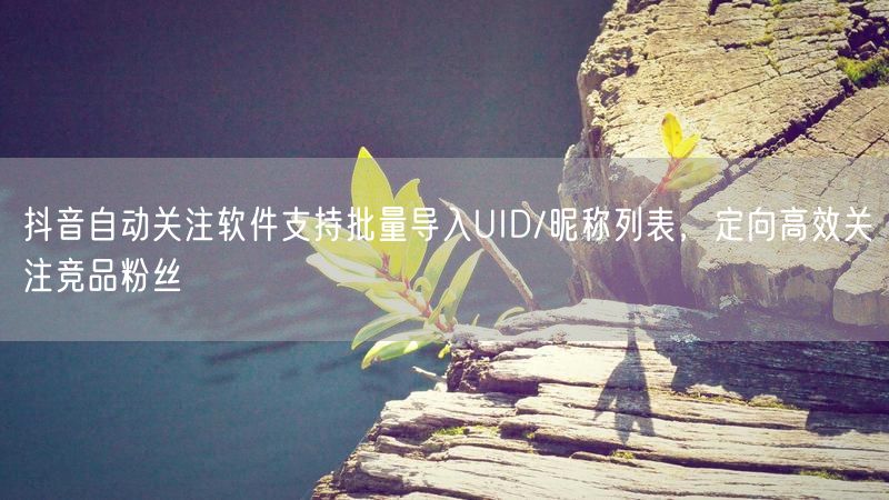 抖音自动关注软件支持批量导入UID/昵称列表，定向高效关注竞品粉丝