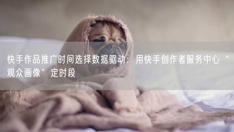 快手作品推广时间选择数据驱动：用快手创作者服务中心“观众画像”定时段