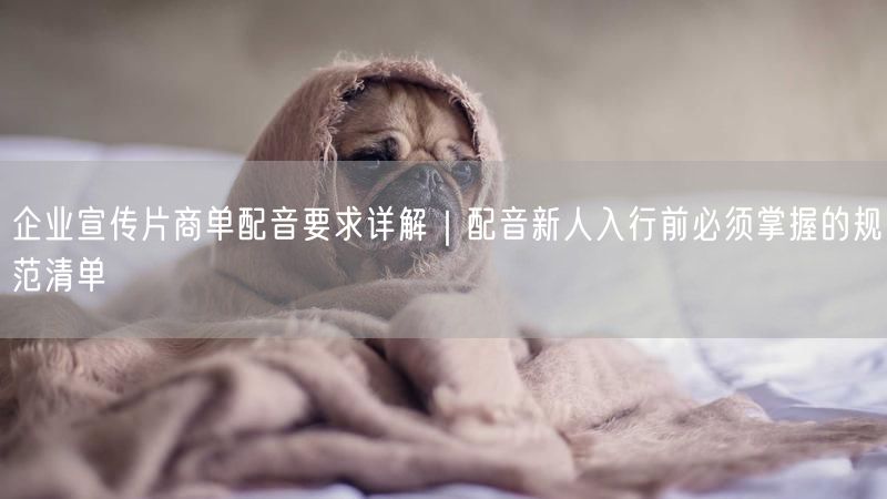 企业宣传片商单配音要求详解｜配音新人入行前必须掌握的规范清单