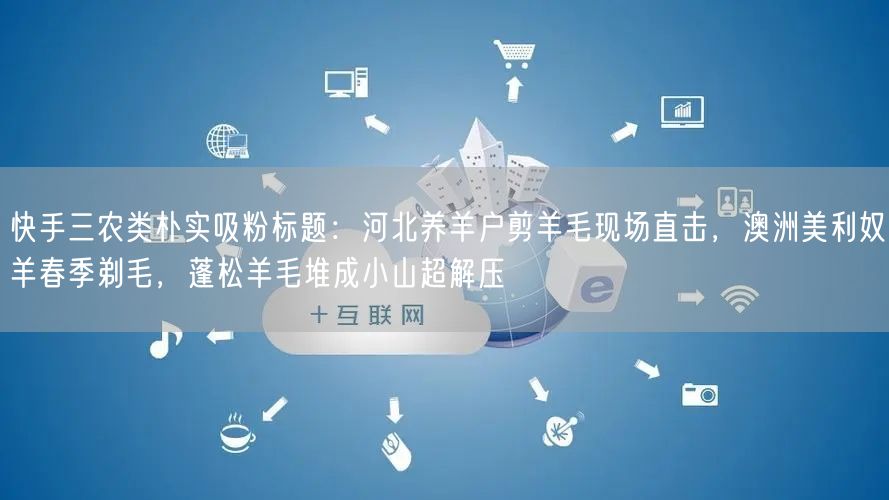 快手三农类朴实吸粉标题：河北养羊户剪羊毛现场直击，澳洲美利奴羊春季剃毛，蓬松羊毛堆成小山超解压