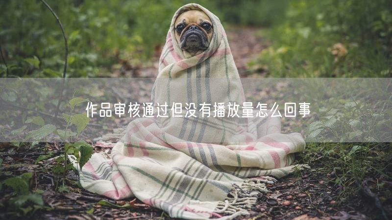 作品审核通过但没有播放量怎么回事