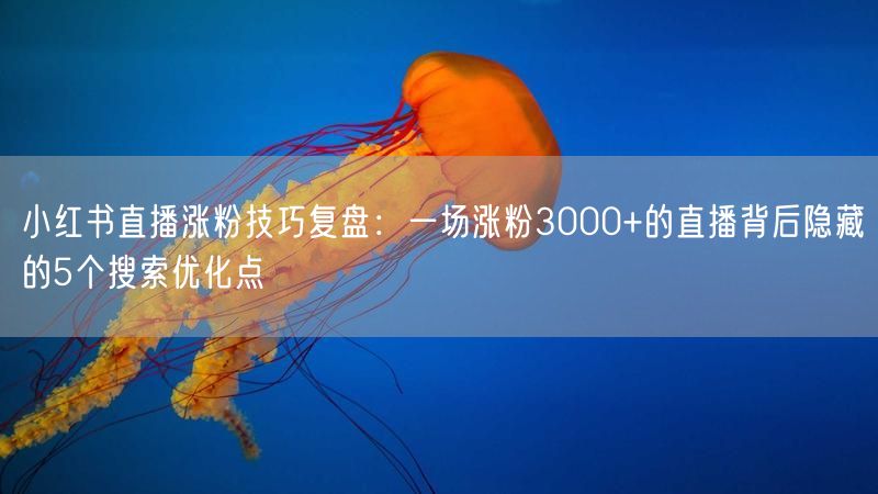 小红书直播涨粉技巧复盘：一场涨粉3000+的直播背后隐藏的5个搜索优化点