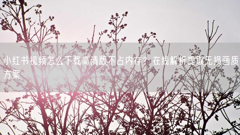 小红书视频怎么下载高清版不占内存？在线解析提取无损画质方案