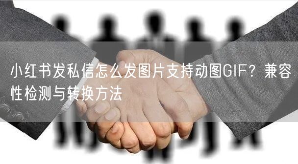 小红书发私信怎么发图片支持动图GIF？兼容性检测与转换方法