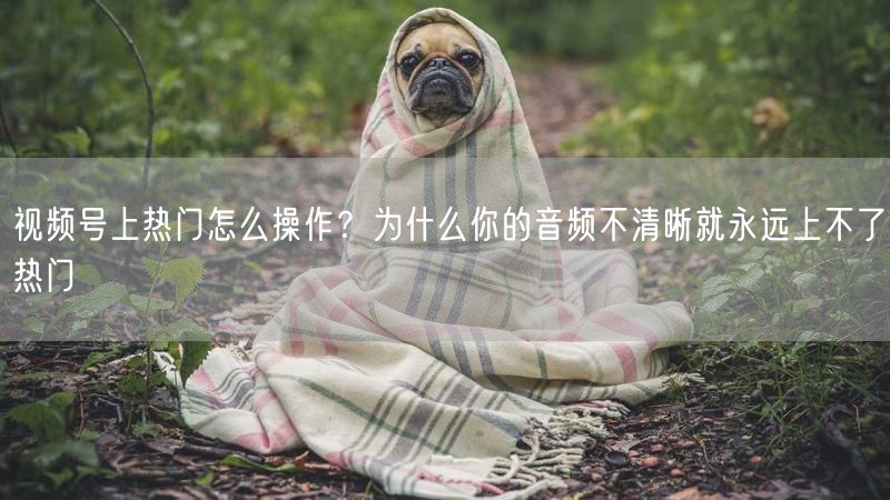 视频号上热门怎么操作？为什么你的音频不清晰就永远上不了热门