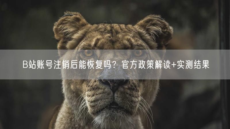 B站账号注销后能恢复吗？官方政策解读+实测结果