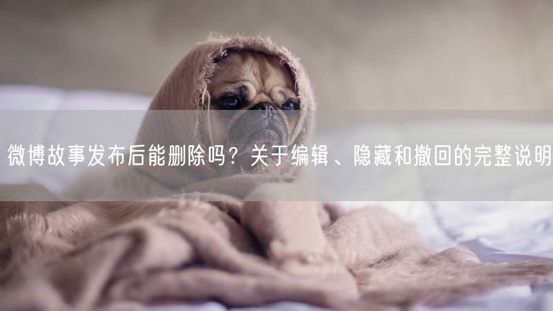 微博故事发布后能删除吗？关于编辑、隐藏和撤回的完整说明