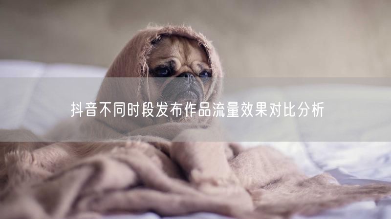 抖音不同时段发布作品流量效果对比分析