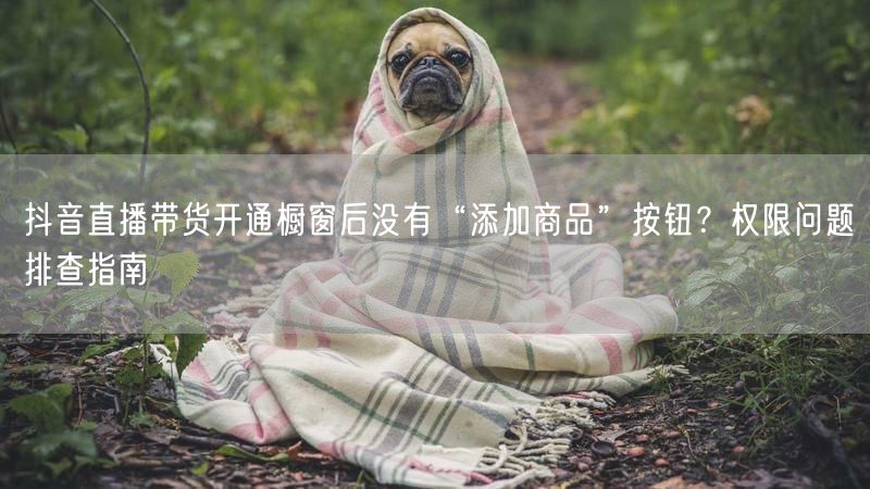 抖音直播带货开通橱窗后没有“添加商品”按钮？权限问题排查指南