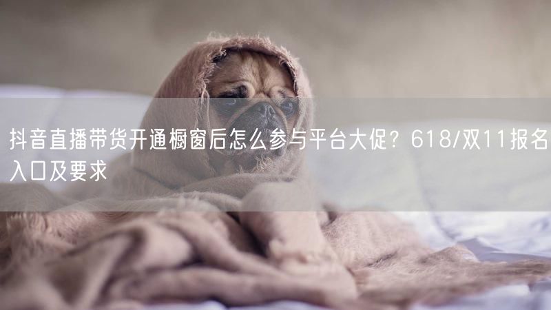 抖音直播带货开通橱窗后怎么参与平台大促？618/双11报名入口及要求