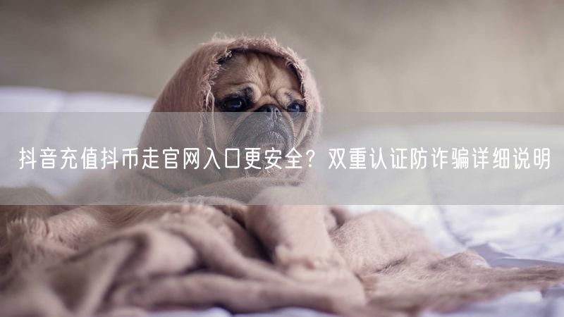 抖音充值抖币走官网入口更安全？双重认证防诈骗详细说明
