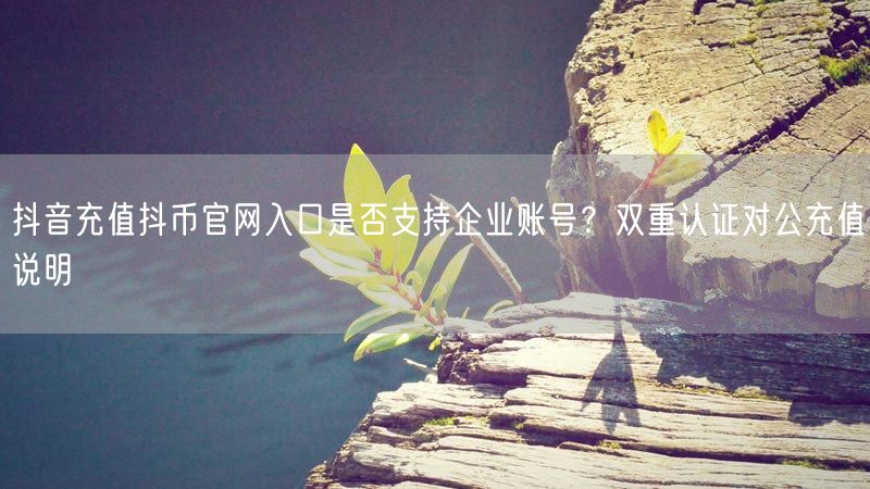 抖音充值抖币官网入口是否支持企业账号？双重认证对公充值说明
