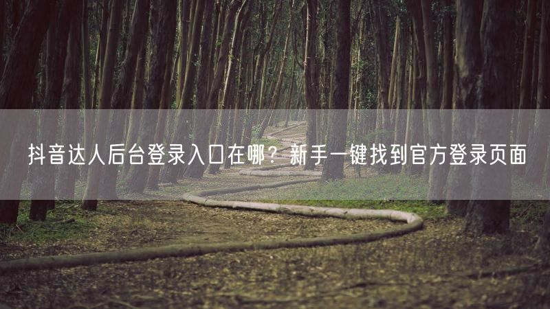 抖音达人后台登录入口在哪？新手一键找到官方登录页面