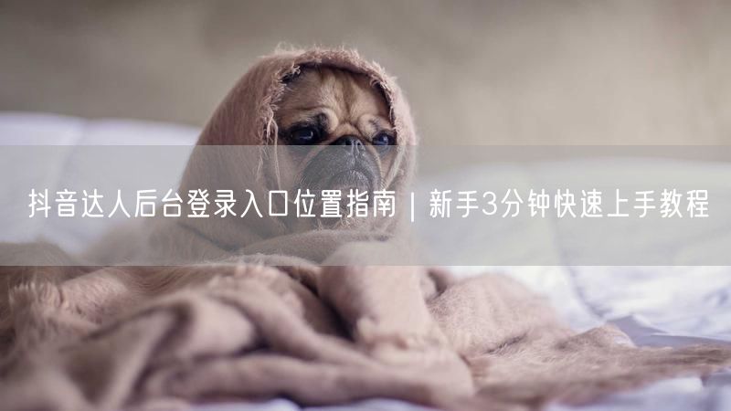抖音达人后台登录入口位置指南｜新手3分钟快速上手教程